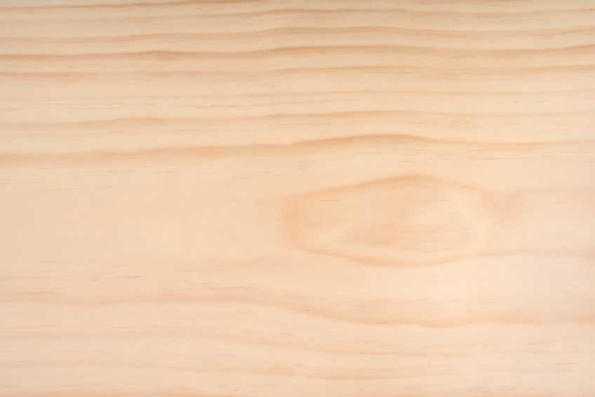 Madera de Pino Insigne